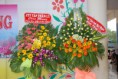/album/thptphuockienedu/dsc-0170-jpg/